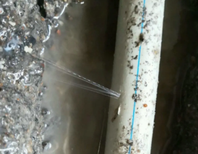 灌阳测漏水哪家好