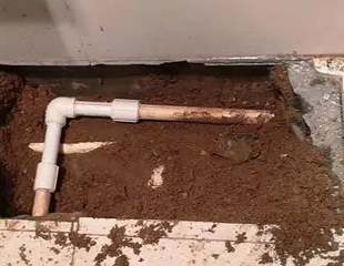 灌阳测漏水哪家好