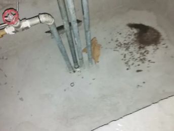 灌阳卫生间测漏水价格明细