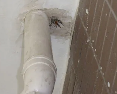 灌阳漏水检测哪家好